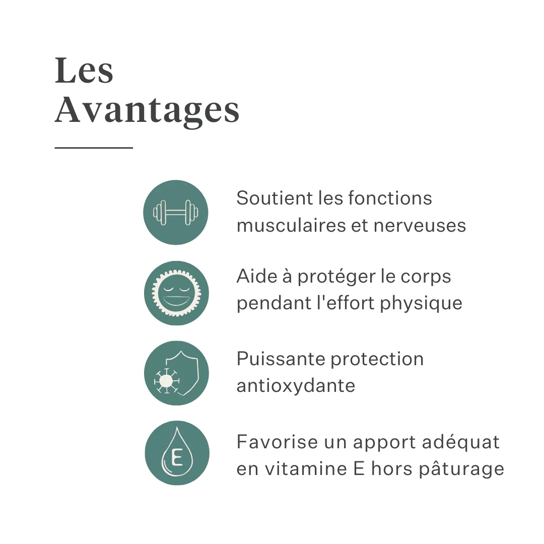 Vitamin E Liquid Supplement - Image 7
